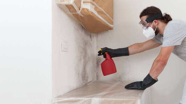 Professional Bathroom Mold Removal technician working in Dunellen, NJ